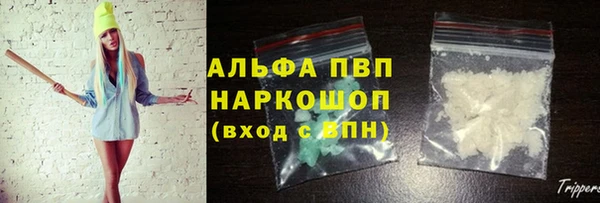 шишки Медвежьегорск