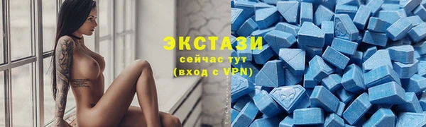 шишки Медвежьегорск