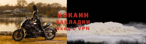 шишки Медвежьегорск