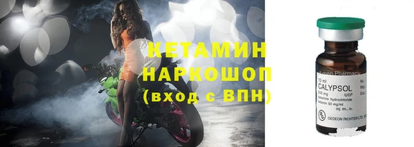 шишки Медвежьегорск