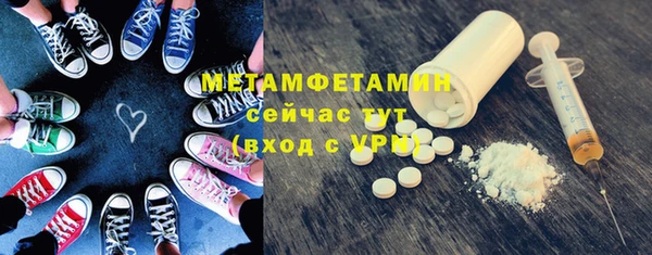 шишки Медвежьегорск