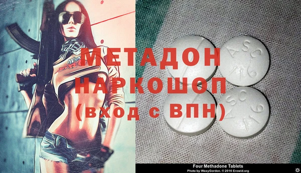 шишки Медвежьегорск