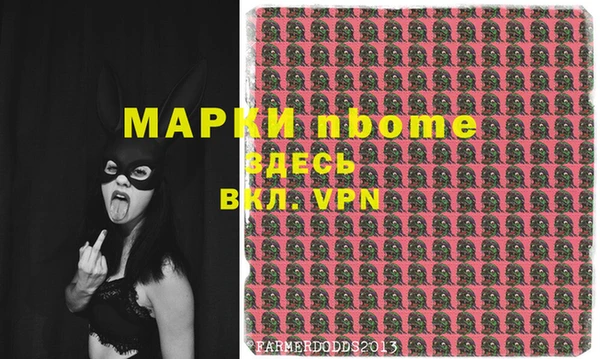 шишки Медвежьегорск