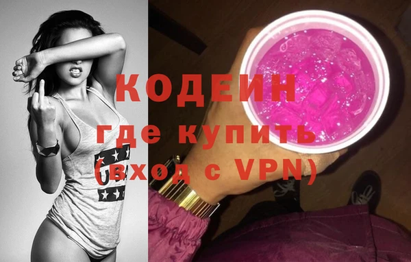 шишки Медвежьегорск