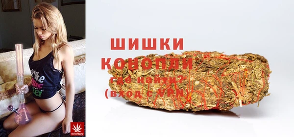 герыч Долгопрудный